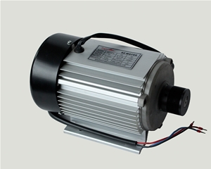 2HP(1.5KW)50HZ 60HZ 交流变频电机