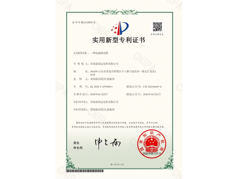 Patent