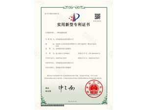 Patent
