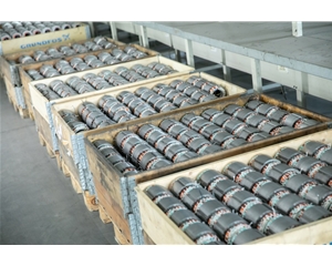 Motor stator